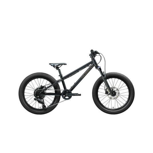 NORCO Charger 20 Bike Black