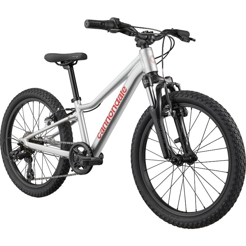 Cannondale Kids Trail 20 Bike Silver