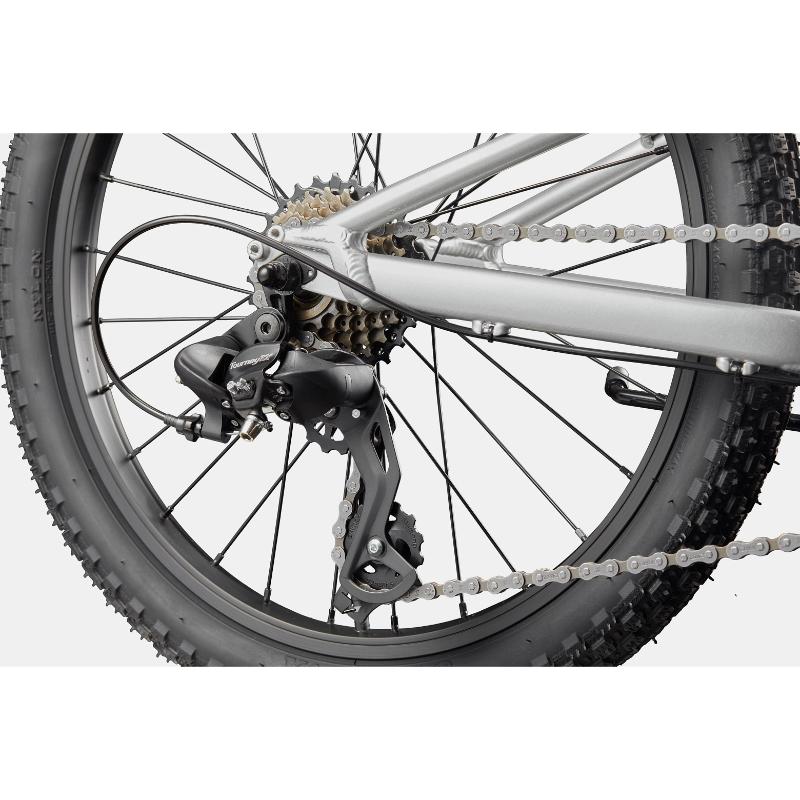 Cannondale Kids Trail 20 Bike Silver