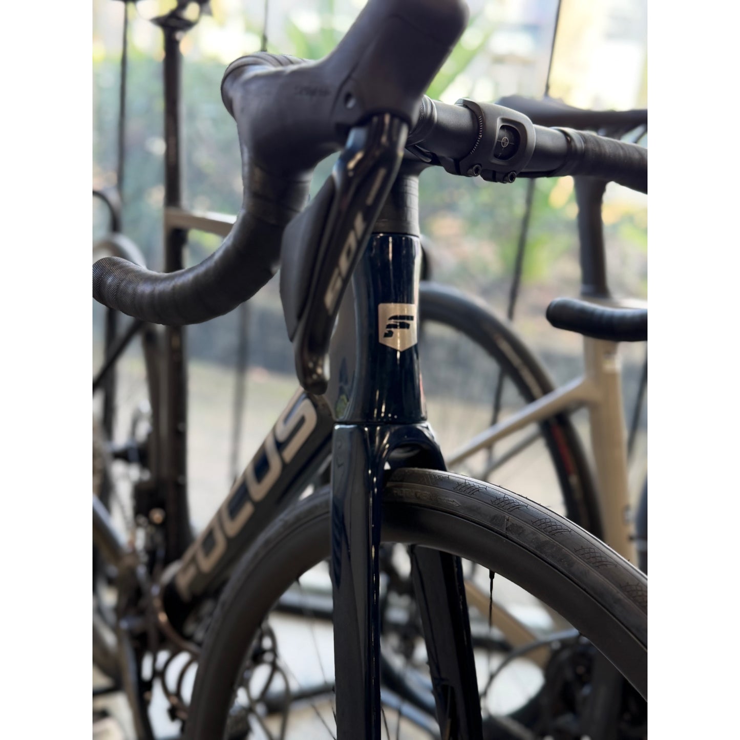 FOCUS 26 Izalco Max 8.8 Bike Azurblue Tinted Black