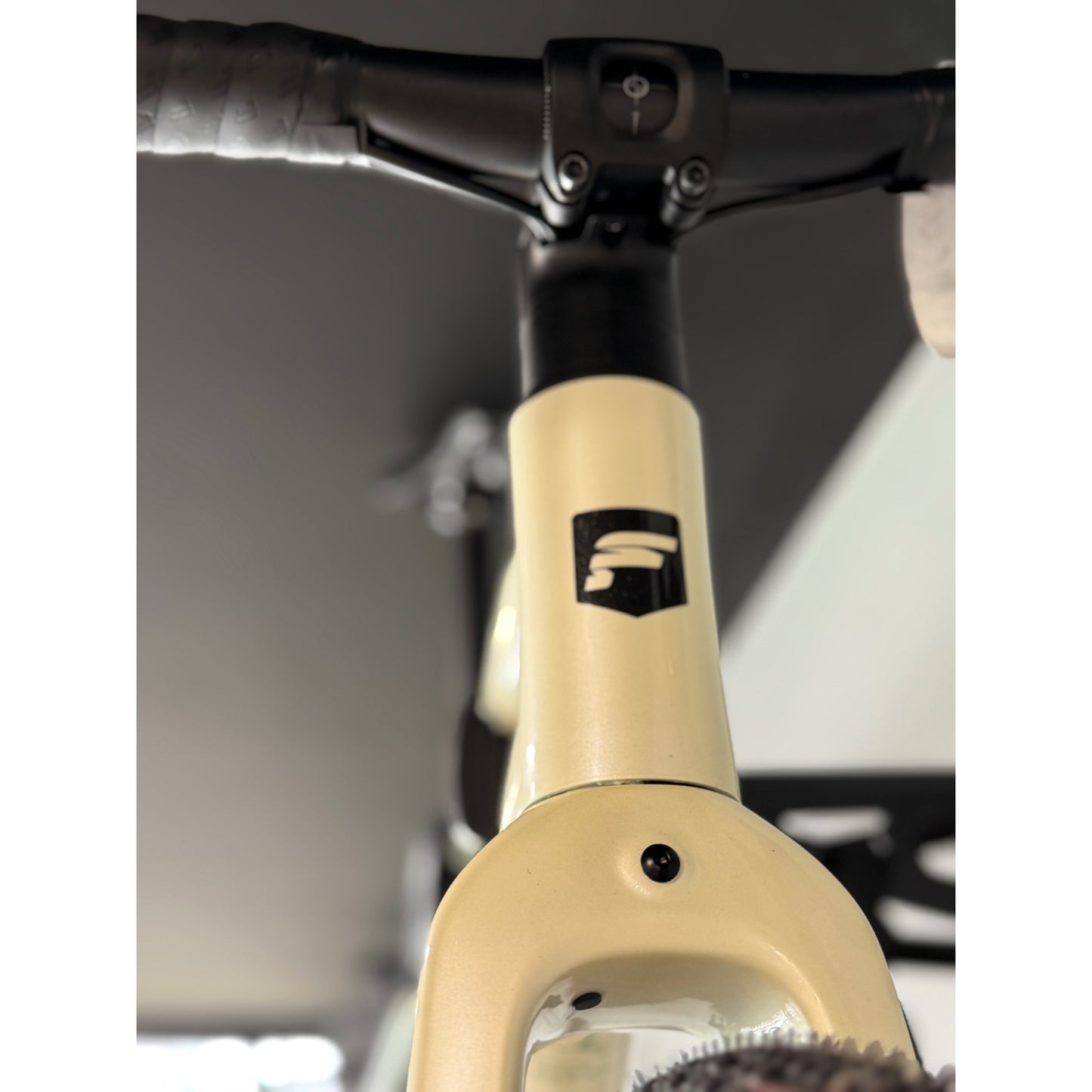FOCUS Atlas 6.7 Bike Champagne Mintgrey Small