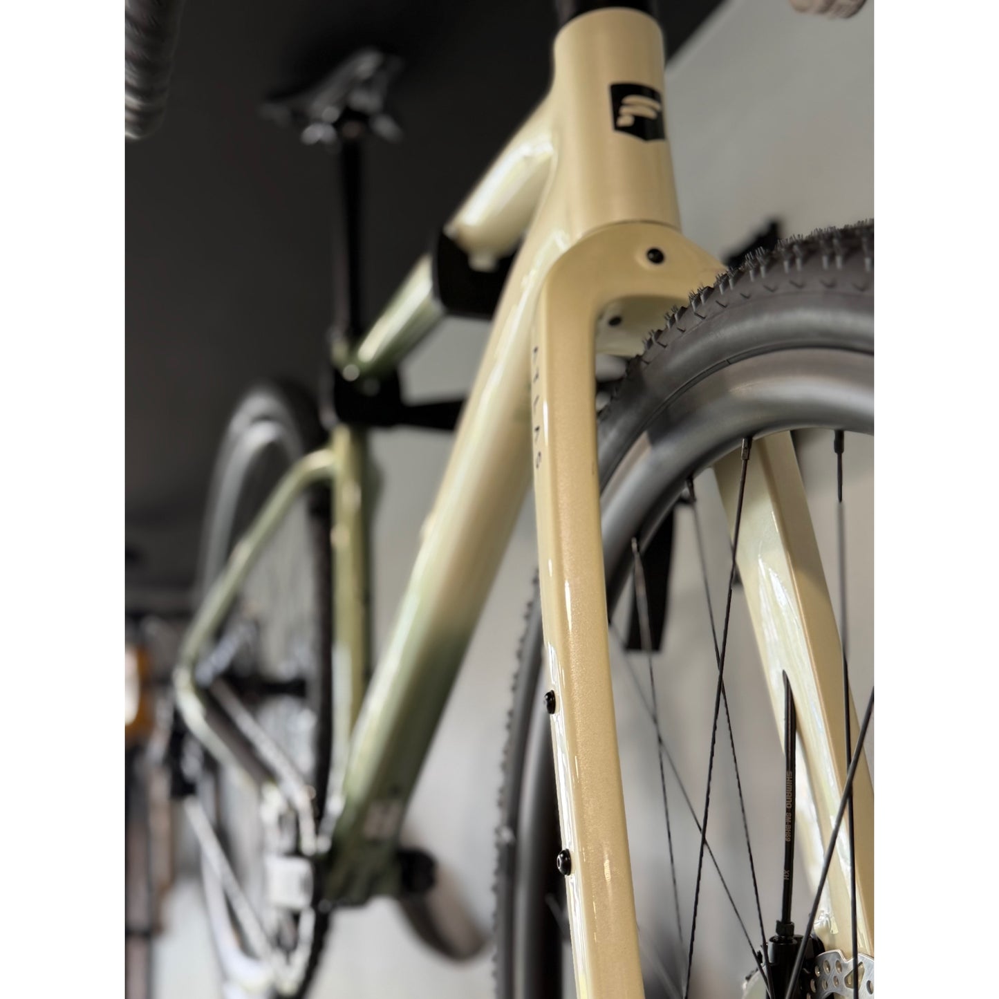 FOCUS Atlas 6.7 Bike Champagne Mintgrey Small