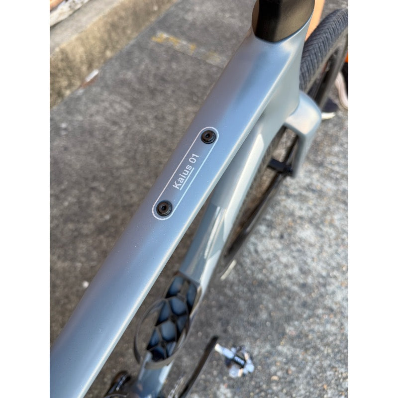BMC Kaius 01 Two Bike Copper Grey