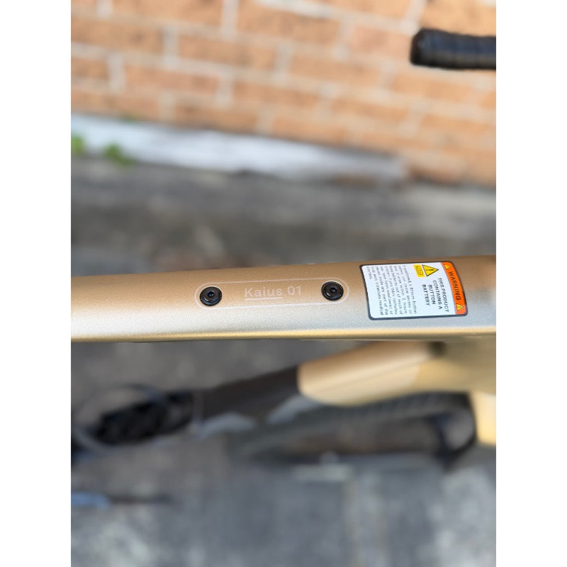 BMC Kaius 01 Three Bike 56cm Gold