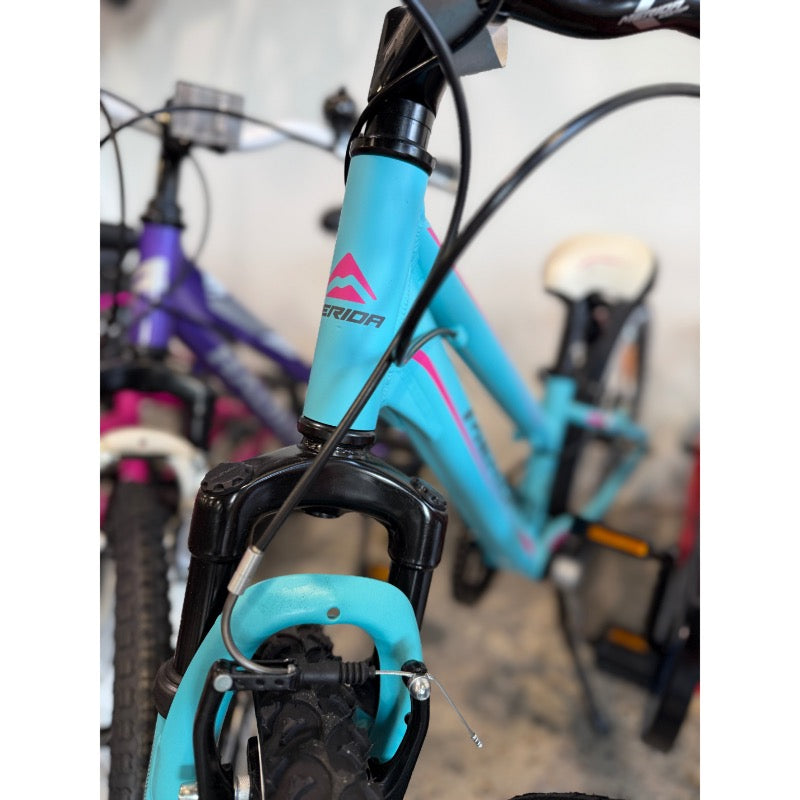 Merida Matts J20 Kids Bike Barbie Blue Pink