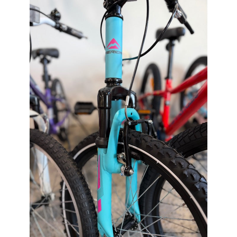 Merida Matts J20 Kids Bike Barbie Blue Pink