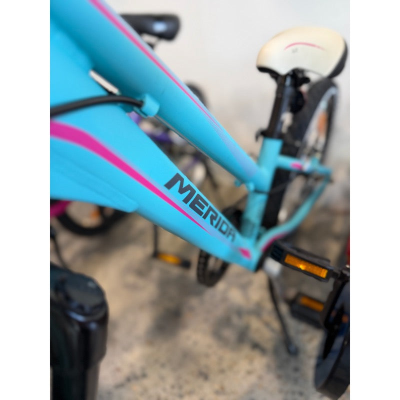 Merida Matts J20 Kids Bike Barbie Blue Pink