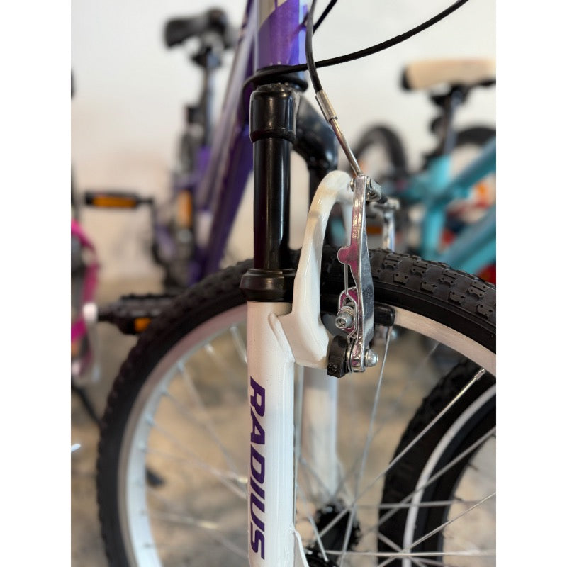 RADIUS Ponyridge AL 20" 6 Speed Bike Lavander/White
