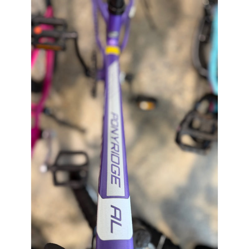 RADIUS Ponyridge AL 20" 6 Speed Bike Lavander/White
