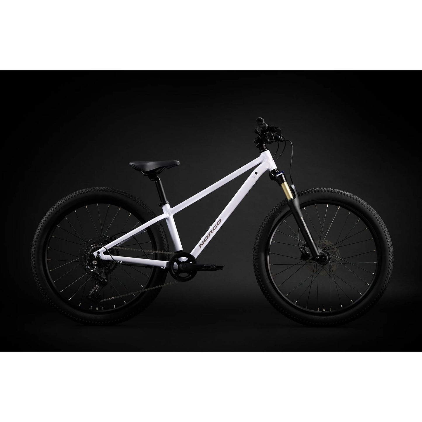 Norco 2025 Charger Youth 24 Bike Ice White